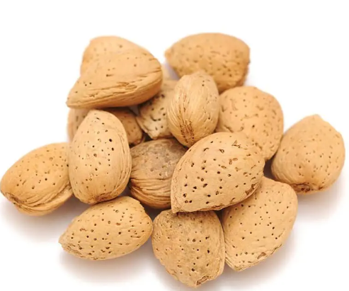 CYPRIOT ALMONDS IN SHELL