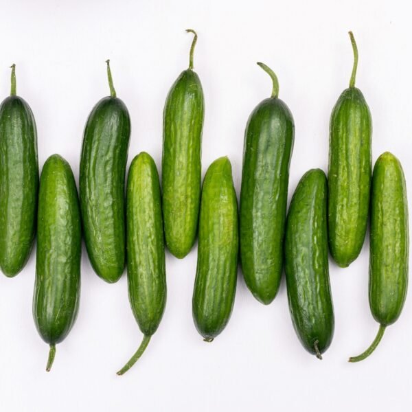 CUCUMBERS CYPRUS